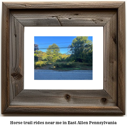 horse trail rides near me in East Allen, Pennsylvania